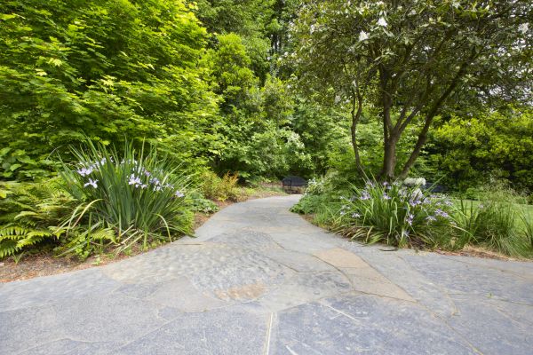 Stone Hardscape Service in Reston