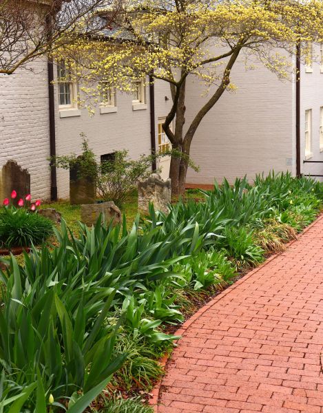Brick Flatwork Repair in Reston